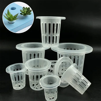 10pcs פלסטיק צמחים במשתלה נטו כוס צמחים גידול הידרופוני סלסלות פרחים גן רשת סיר שתילת עציצים בגינה אספקה