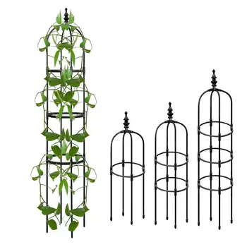 הצמח תומך צינורות מתכת נירוסטה פריחה הצמחים בגינה תמיכה חיצונית צמח כלובים עבור גינת הבית צמח תמיכה