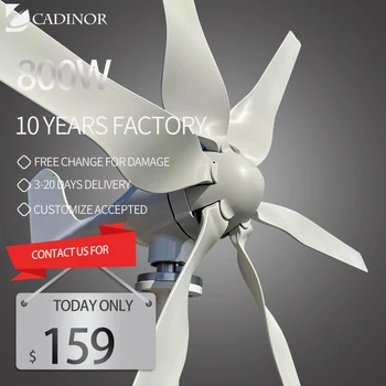 הרוח מיל טורבינה 12V 24V 400W 800W 3/5/6 להבי אנרגיה חופשית טורבינת רוח גנרטורים עם בקר Mppt