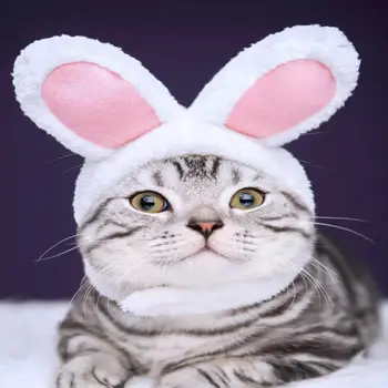 חתול חמוד כובע אוזן ארנב צורת כיסוי ראש כובע נוח פו כבש כלב צמר טדי בישון חתול Cosplay מחמד כיסוי הראש ספקי חתול