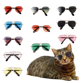 כלב חתול משקפי שמש חתול מחמד מוצר מקסים בציר סיבוב השתקפות משקפי שמש משקפיים כלב קטן חתול מחמד צילום אביזרים אביזרים
